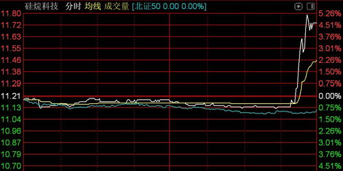 北交所震蕩調(diào)整 逾百股下挫，技術(shù)開(kāi)發(fā)板塊承壓——以n鴻智超14%領(lǐng)跌為例